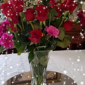 Meet your Posher, Michele